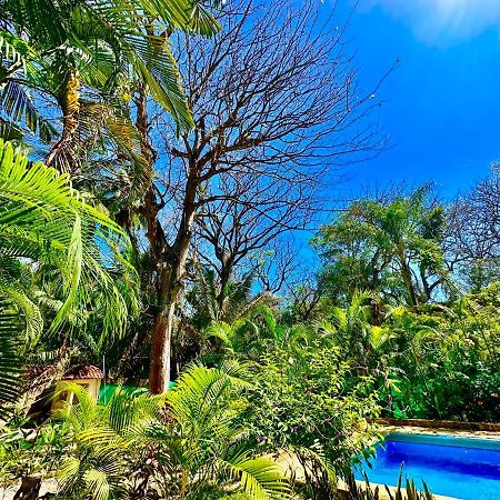 Pacifica Surf Studios Playa Santa Teresa  Ngoại thất bức ảnh