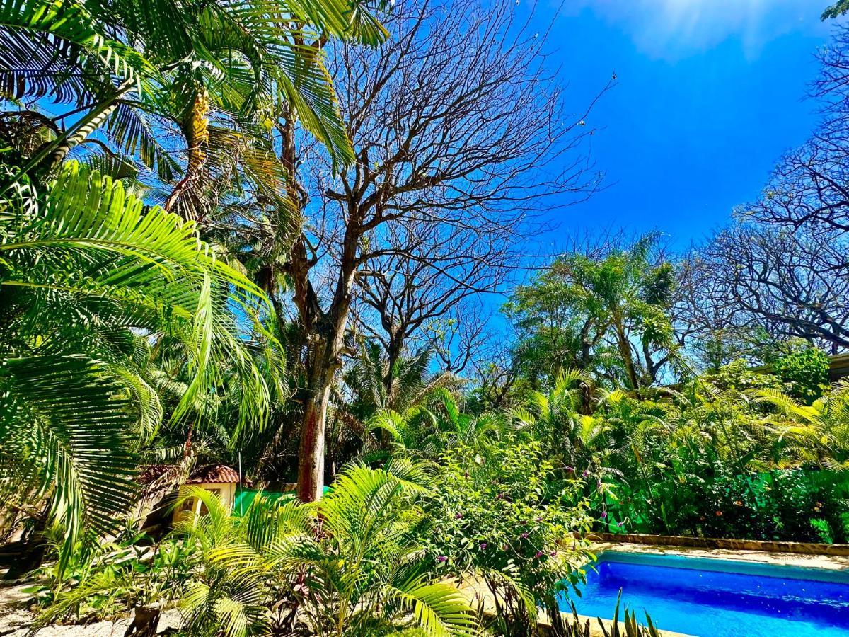 Pacifica Surf Studios Playa Santa Teresa  Ngoại thất bức ảnh